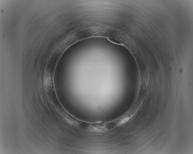 X0000062840137200601131333