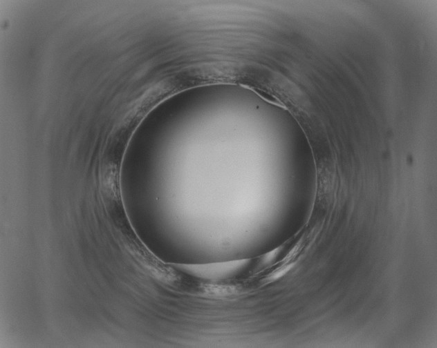 X0000062840141200601131333