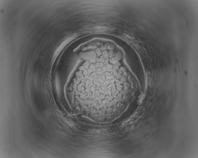 X0000062840147200601131333