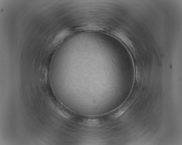 X0000062840157200601131333