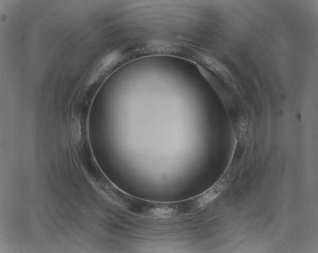X0000062840158200601131333