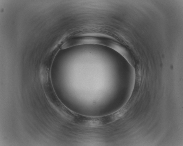 X0000062840168200601131333