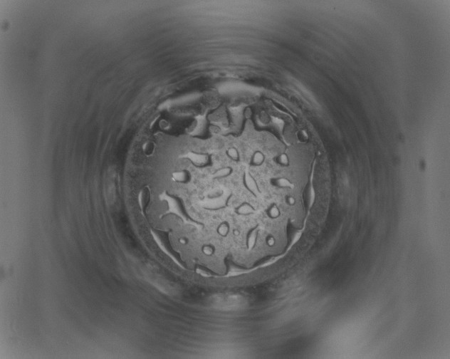 X0000062840169200601131333