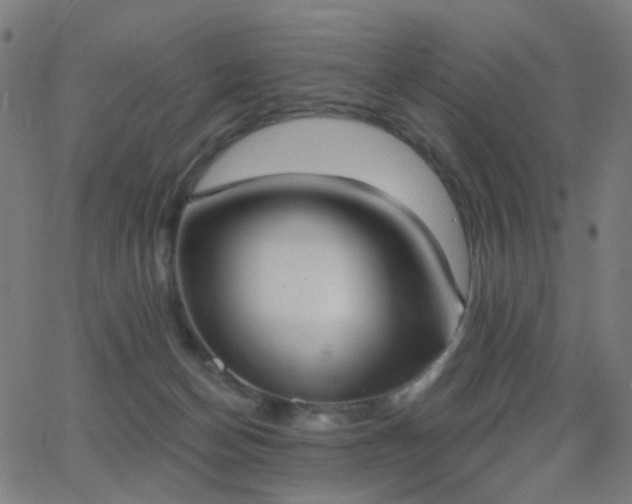 X0000062840174200601131333