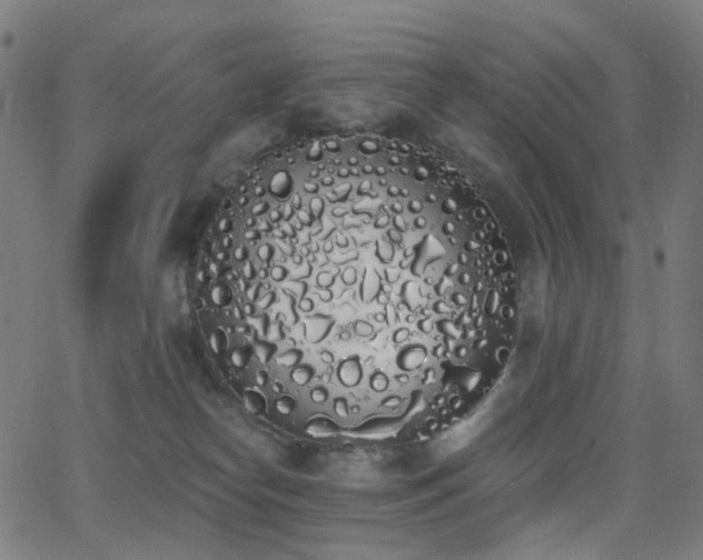 X0000062840182200601131333