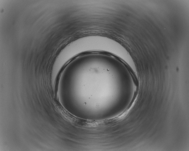 X0000062840190200601131333