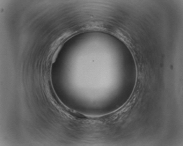 X0000062840193200601131333