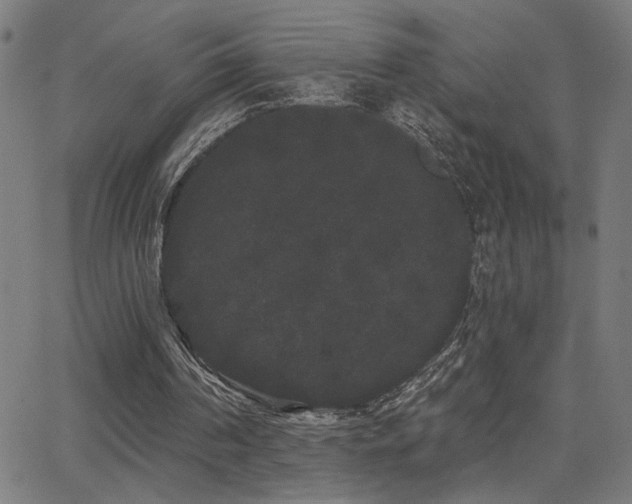 X0000062840194200601131332