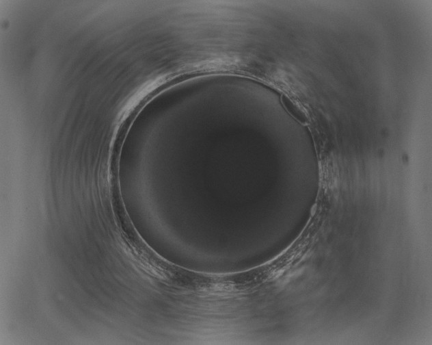 X0000062840196200601131332