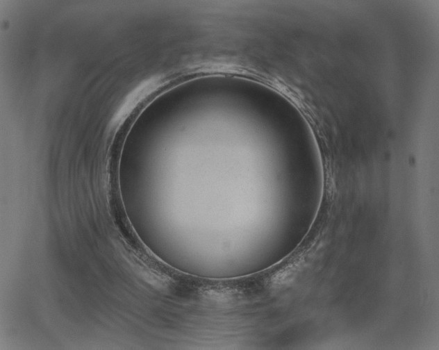 X0000062840199200601131332