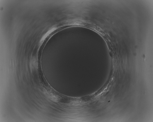 X0000062840200200601131332