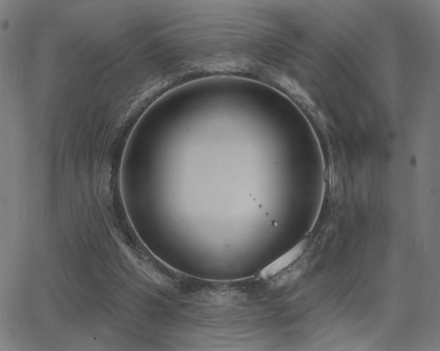 X0000062840201200601131332