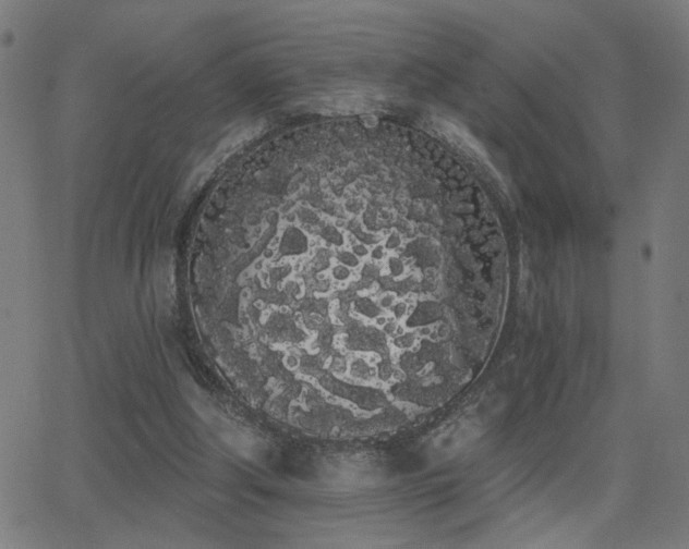 X0000062840202200601131332