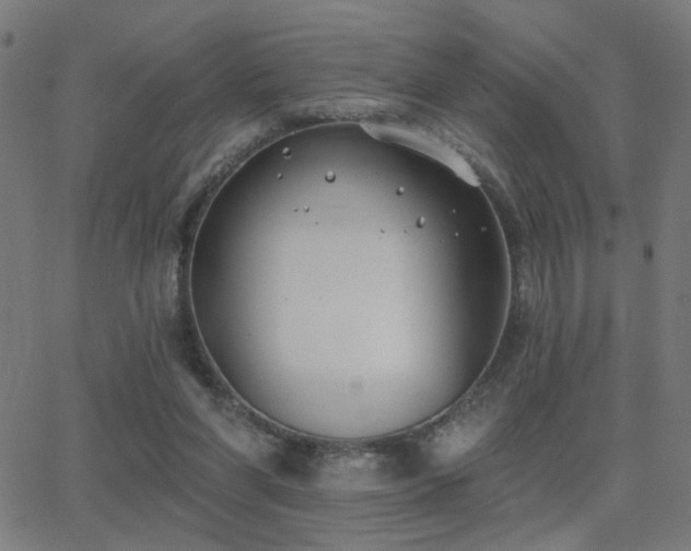 X0000062840206200601131332