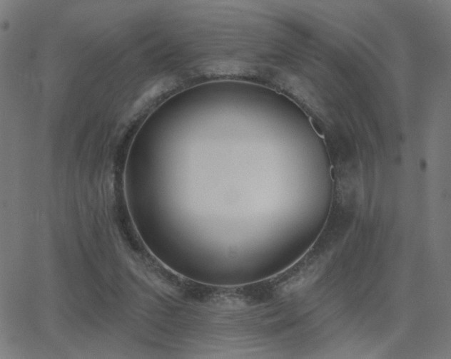 X0000062840207200601131332