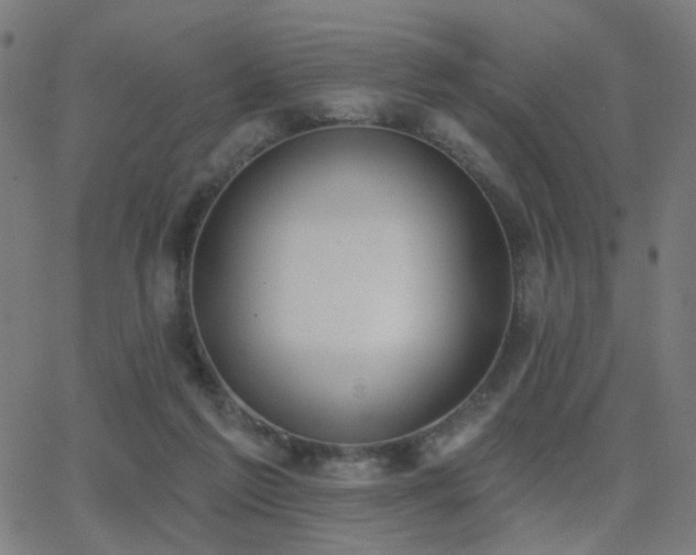 X0000062840213200601131332