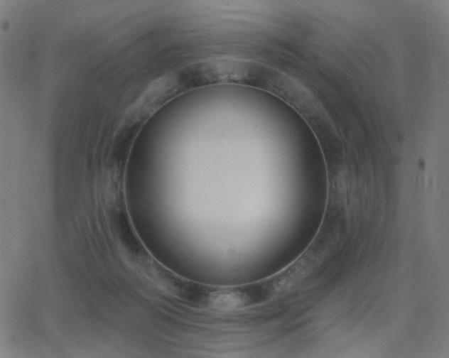 X0000062840218200601131332
