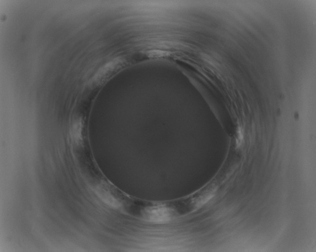 X0000062840219200601131332
