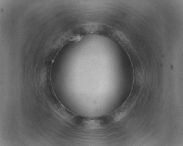 X0000062840221200601131332