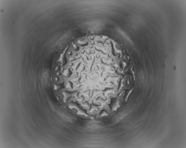 X0000062840222200601131332