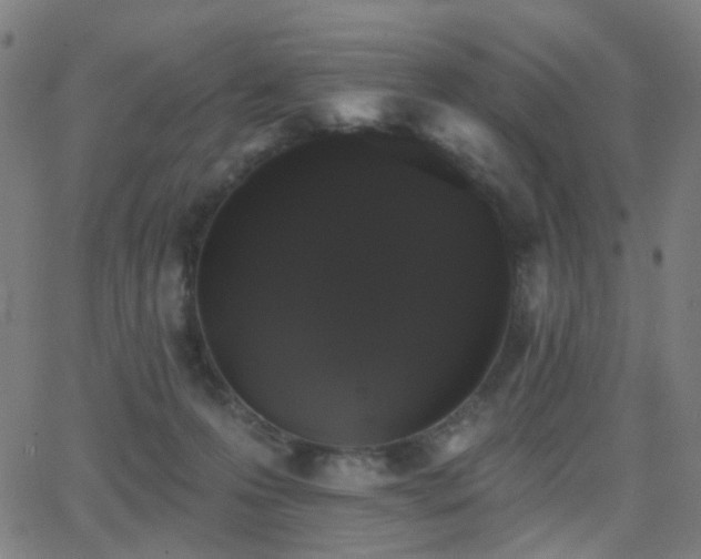 X0000062840223200601131332