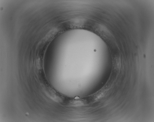 X0000062840224200601131332