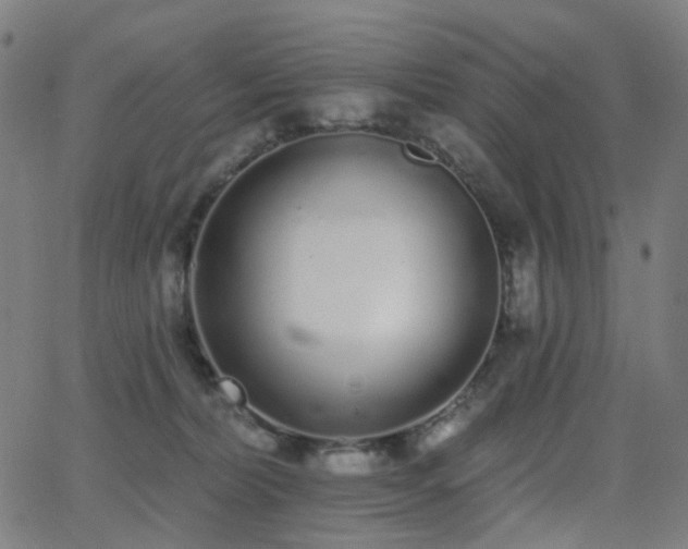 X0000062840228200601131332