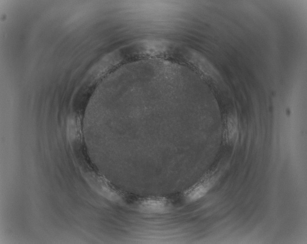 X0000062840236200601131332