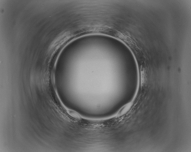 X0000062840243200601131331