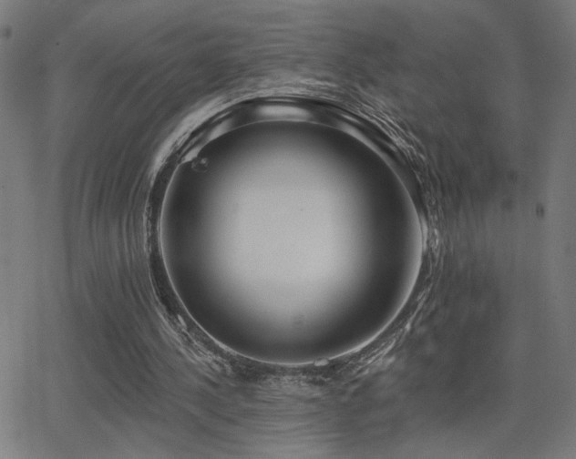 X0000062840244200601131331