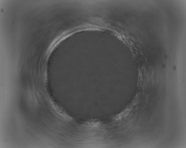 X0000062840247200601131331