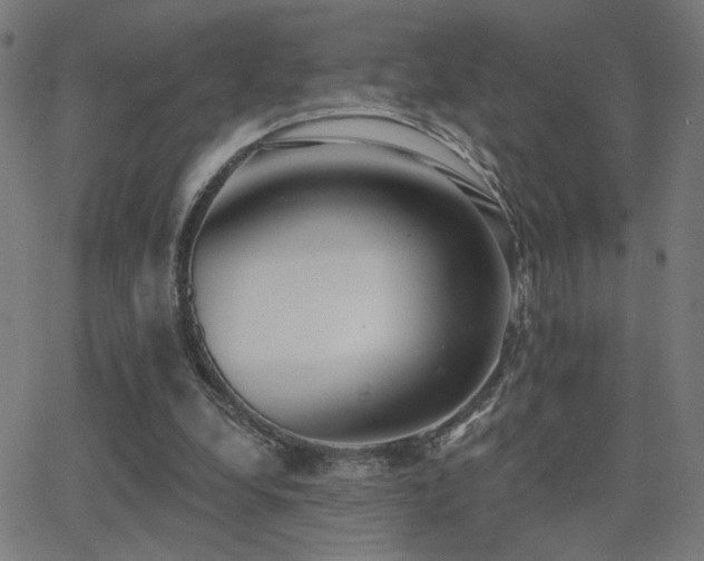 X0000062840248200601131331