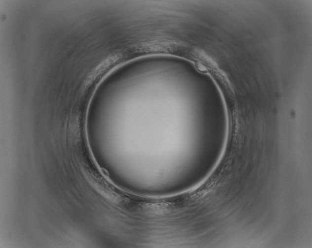 X0000062840250200601131331