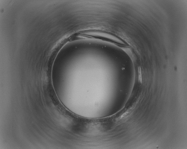 X0000062840252200601131331