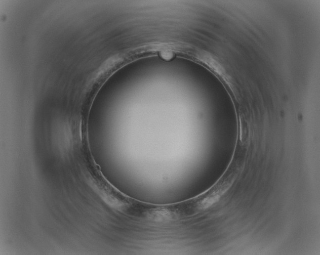 X0000062840253200601131331