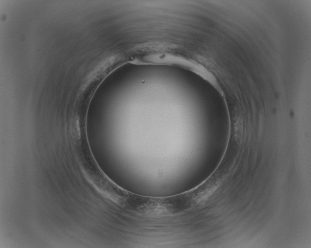 X0000062840254200601131331