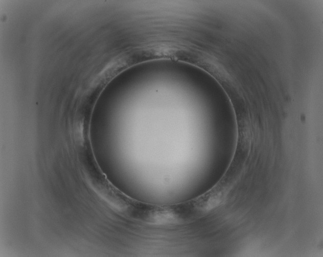 X0000062840262200601131331