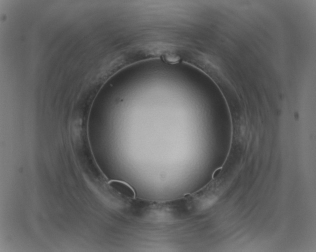 X0000062840263200601131331