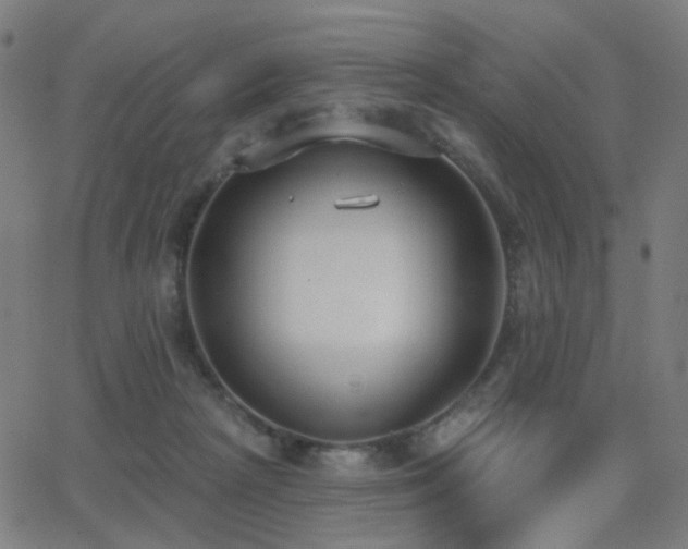 X0000062840265200601131331