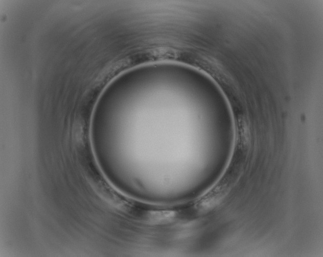 X0000062840266200601131331