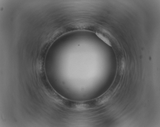 X0000062840268200601131331