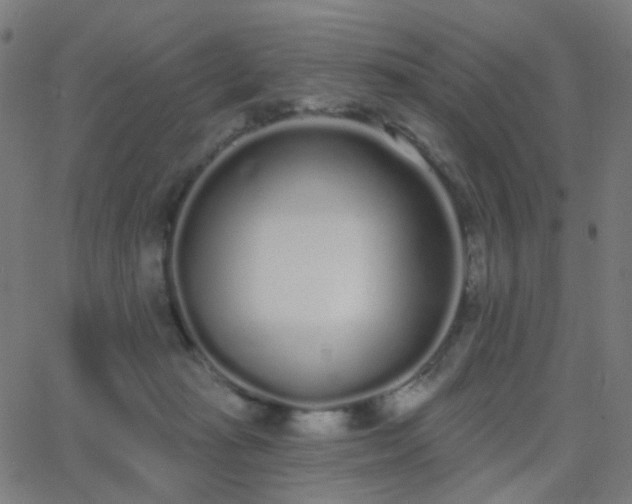 X0000062840269200601131331