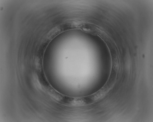 X0000062840270200601131331