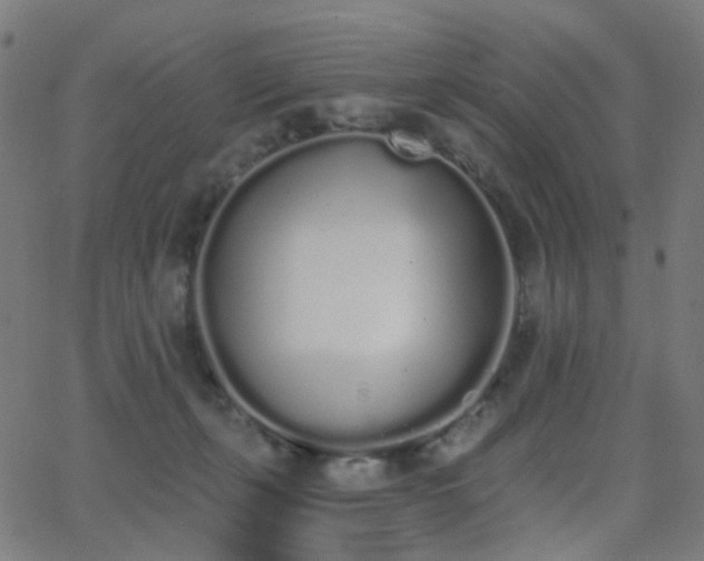 X0000062840271200601131331