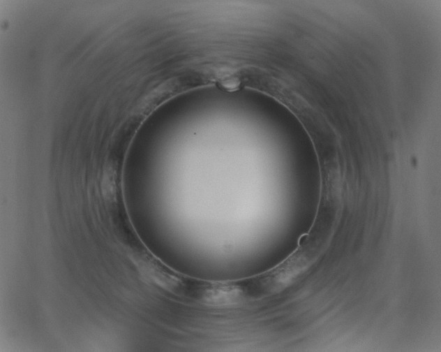 X0000062840274200601131331