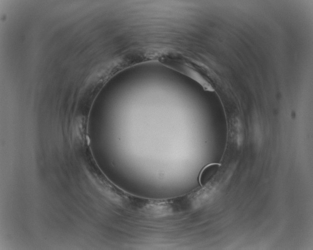 X0000062840280200601131332