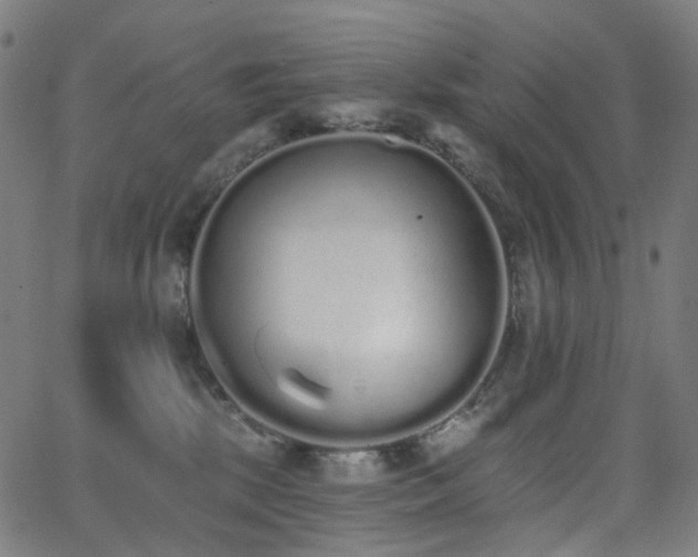 X0000062840281200601131332