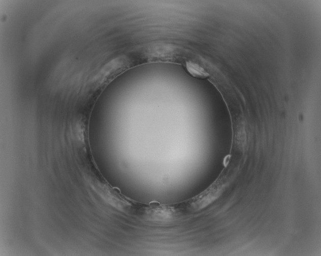 X0000062840282200601131332