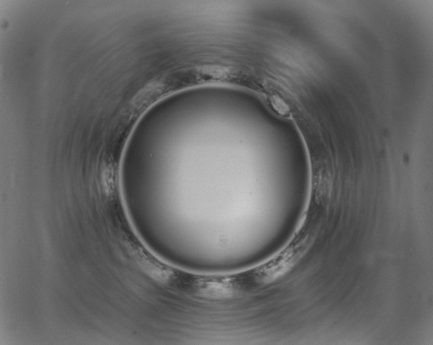 X0000062840285200601131332