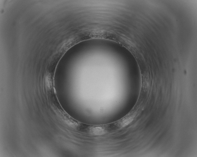 X0000062840287200601131332